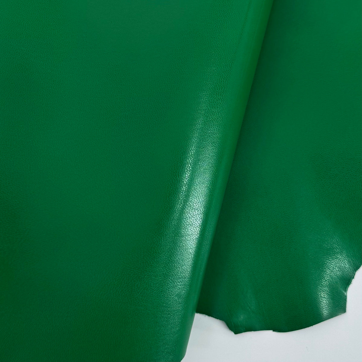 Kid Skin Goat Leather