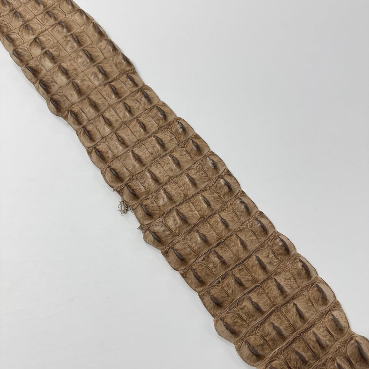 Genuine Crocodile Straps