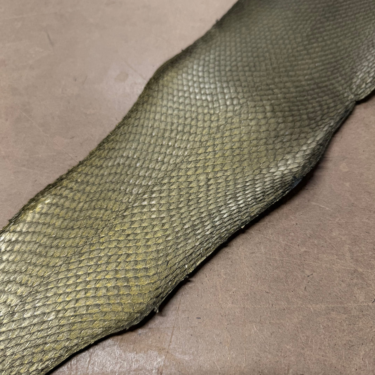 Metallic Salmon Skin