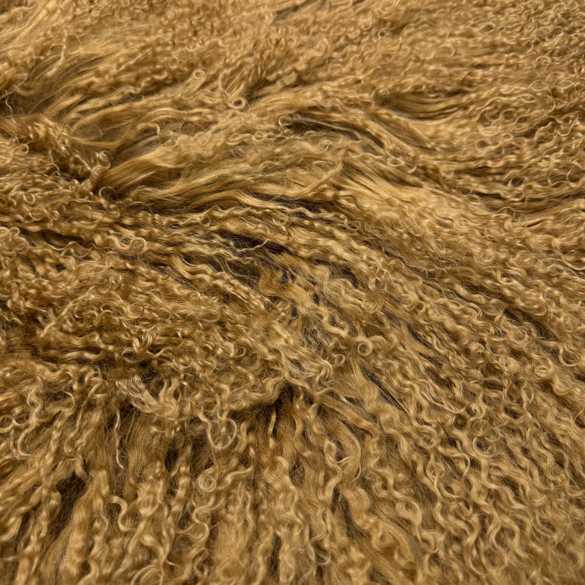 Mongolian Curly Lamb Plate | Ships in 4-5 Days