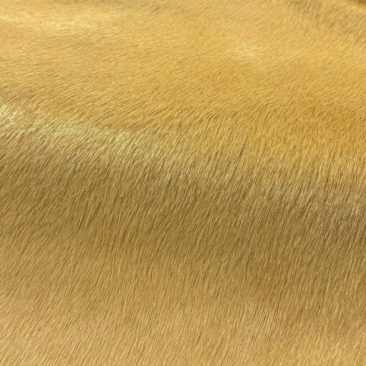 Italian Hair-on Cow Hide | Ships in 2 weeks