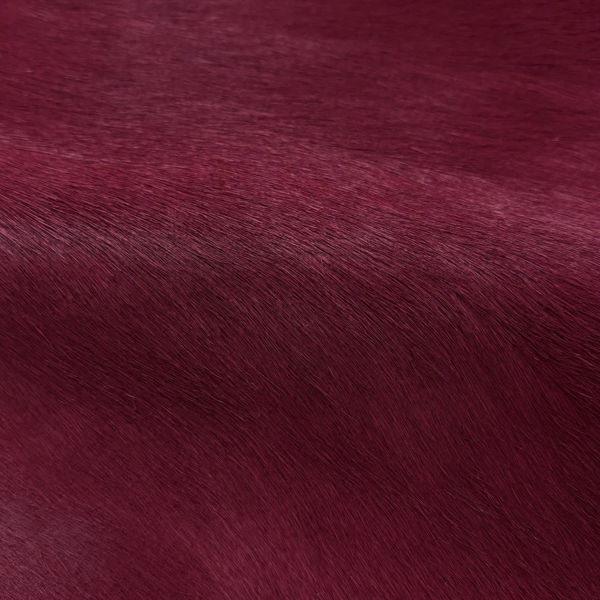 Italian Hair-on Cow Hide | Ships in 2 weeks