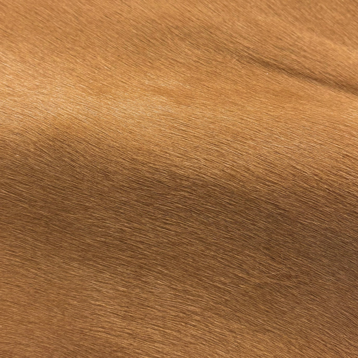 Italian Hair-on Cow Hide | Ships in 2 weeks