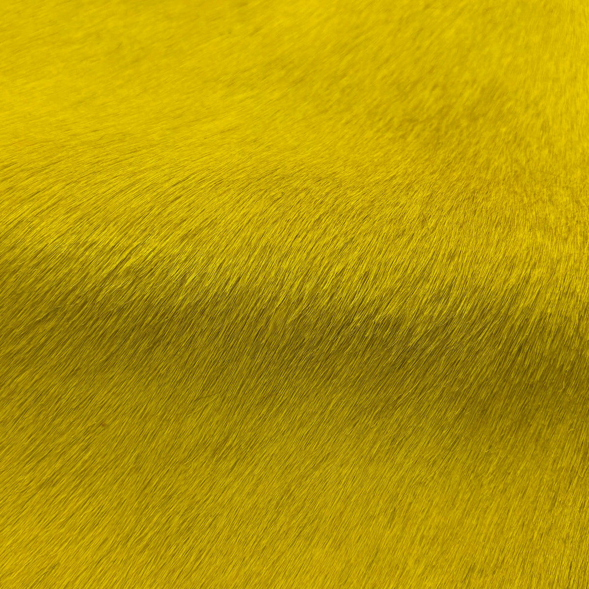 Italian Hair-on Cow Hide | Ships in 2 weeks