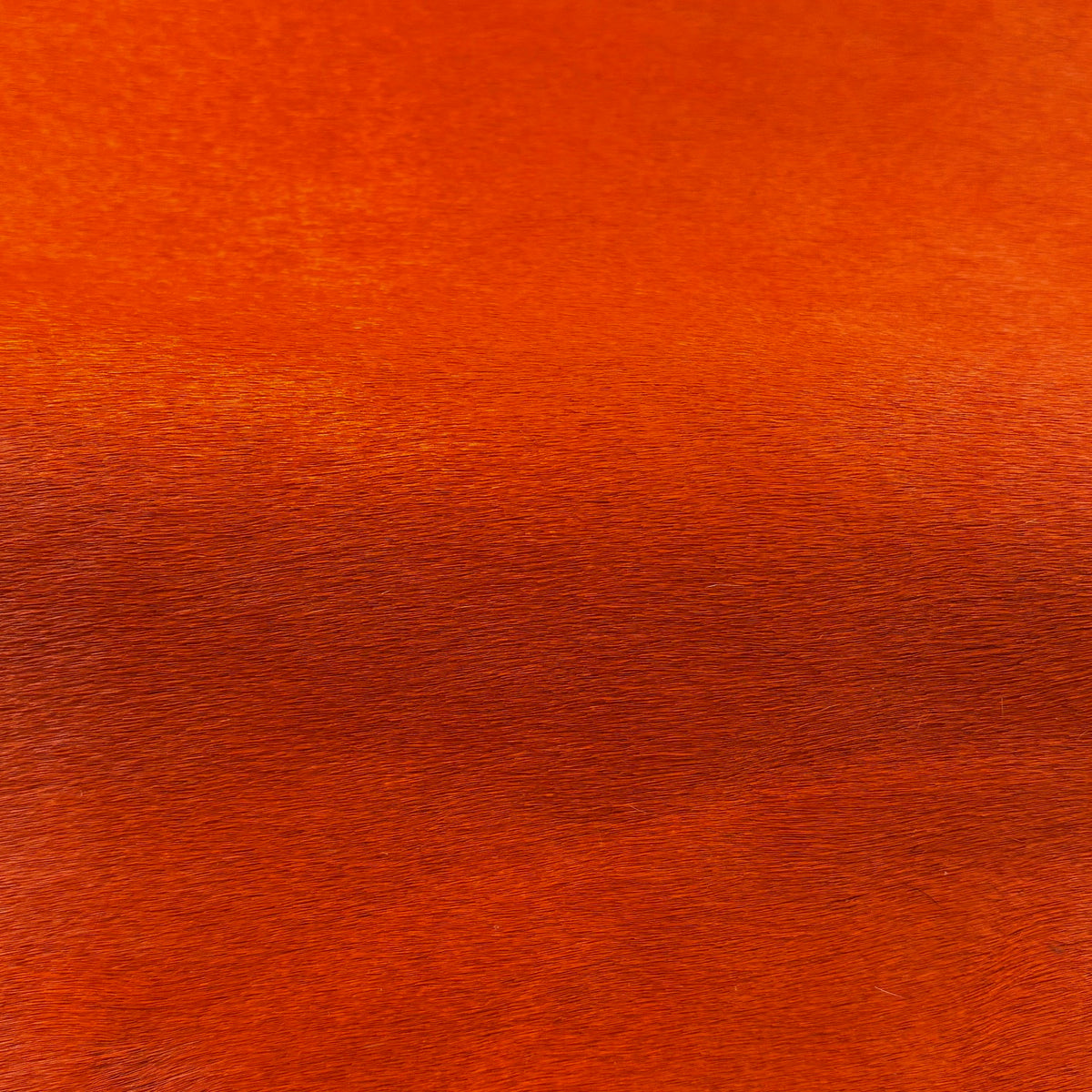 Italian Hair-on Cow Hide | Ships in 2 weeks