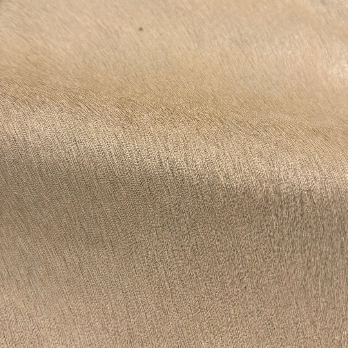 Italian Hair-on Cow Hide | Ships in 2 weeks