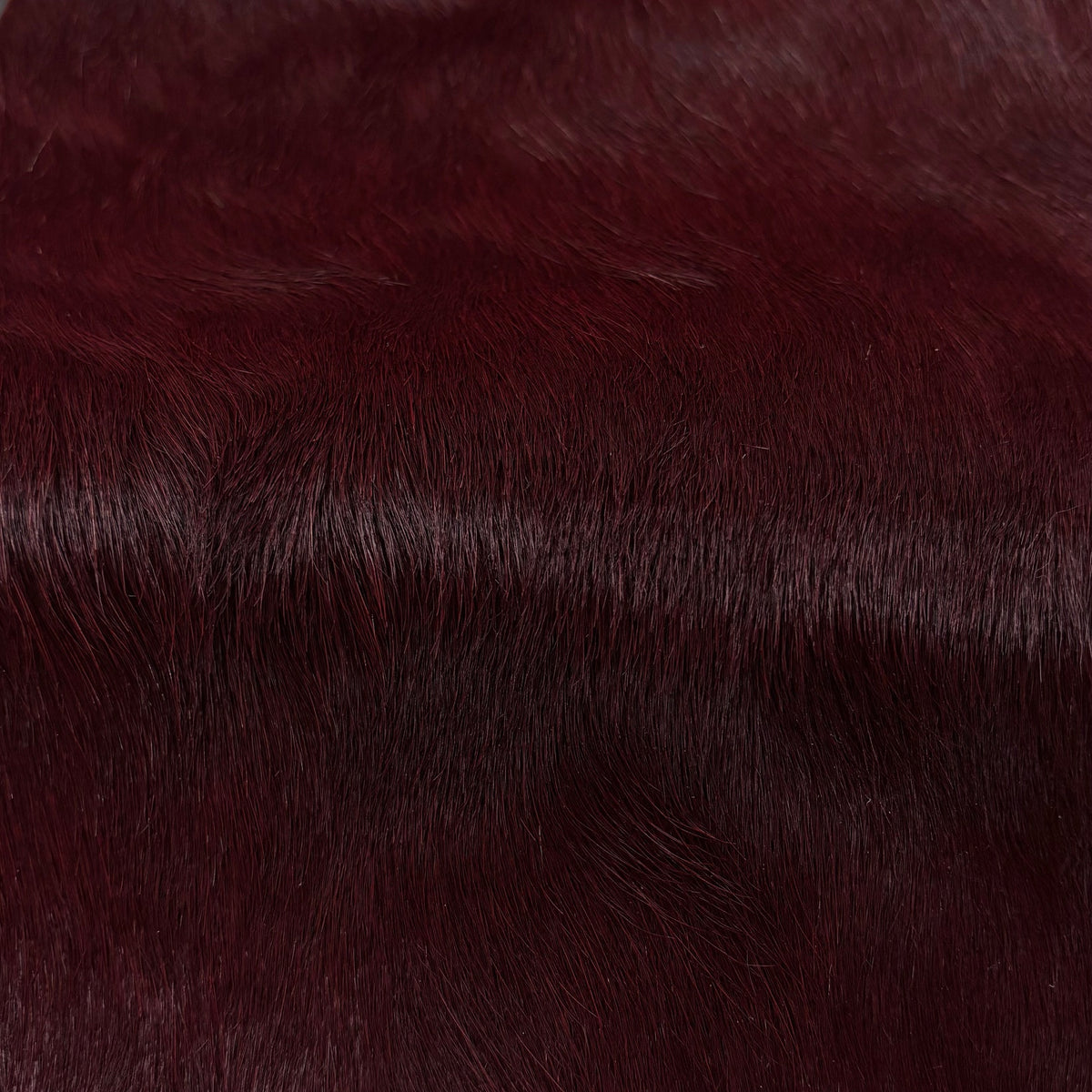 Italian Hair-on Cow Hide | Ships in 2 weeks