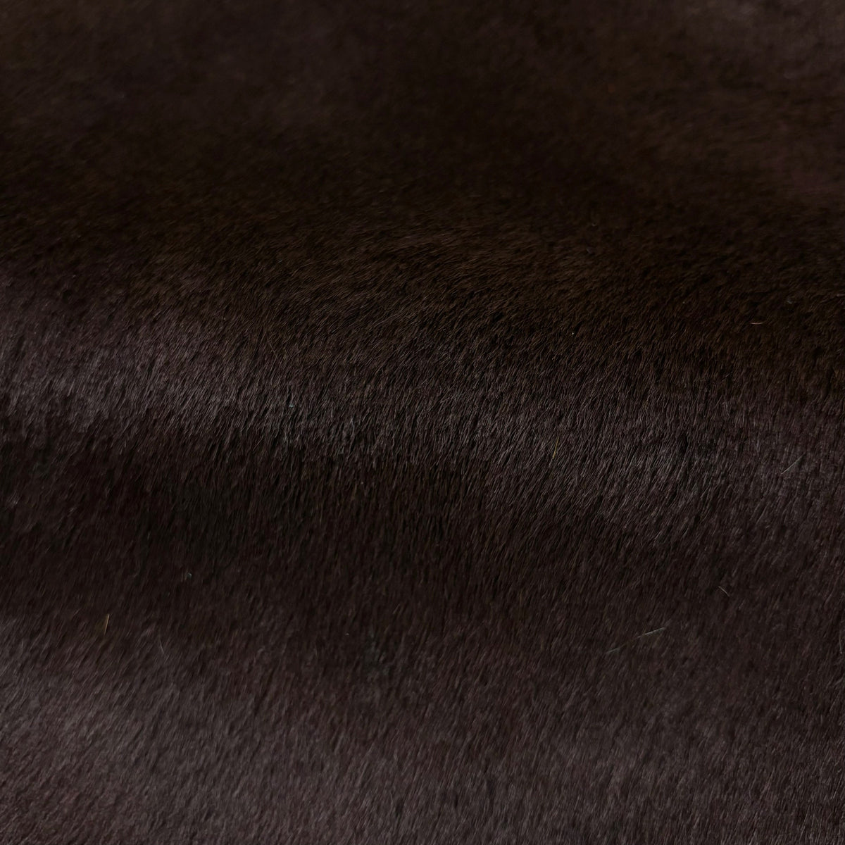 Italian Hair-on Cow Hide | Ships in 2 weeks