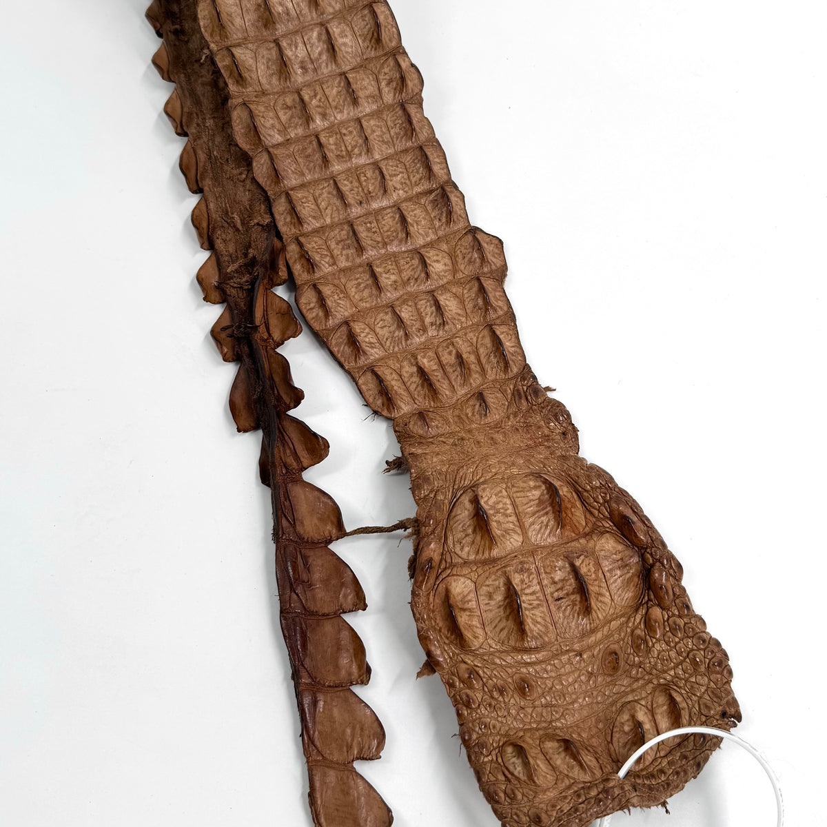 Genuine Crocodile Straps