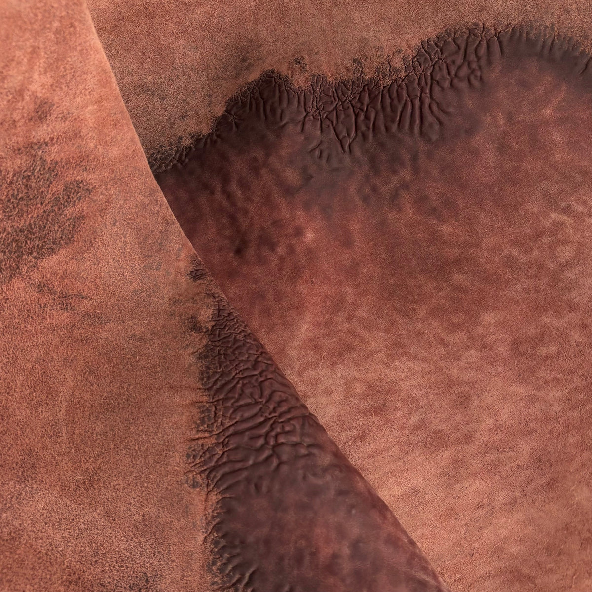 Crude Culatta Horse Double Butt Hide | Ships December 10