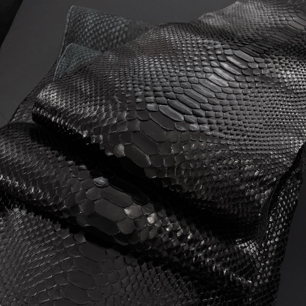 Black Glazed Python (Back Cut) Short Tail