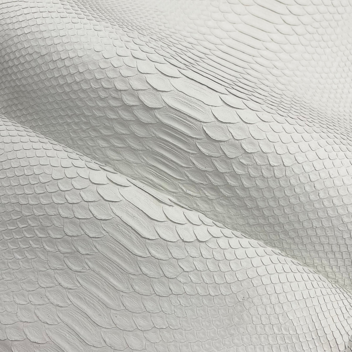 White Matte Python (Back Cut) Short Tail