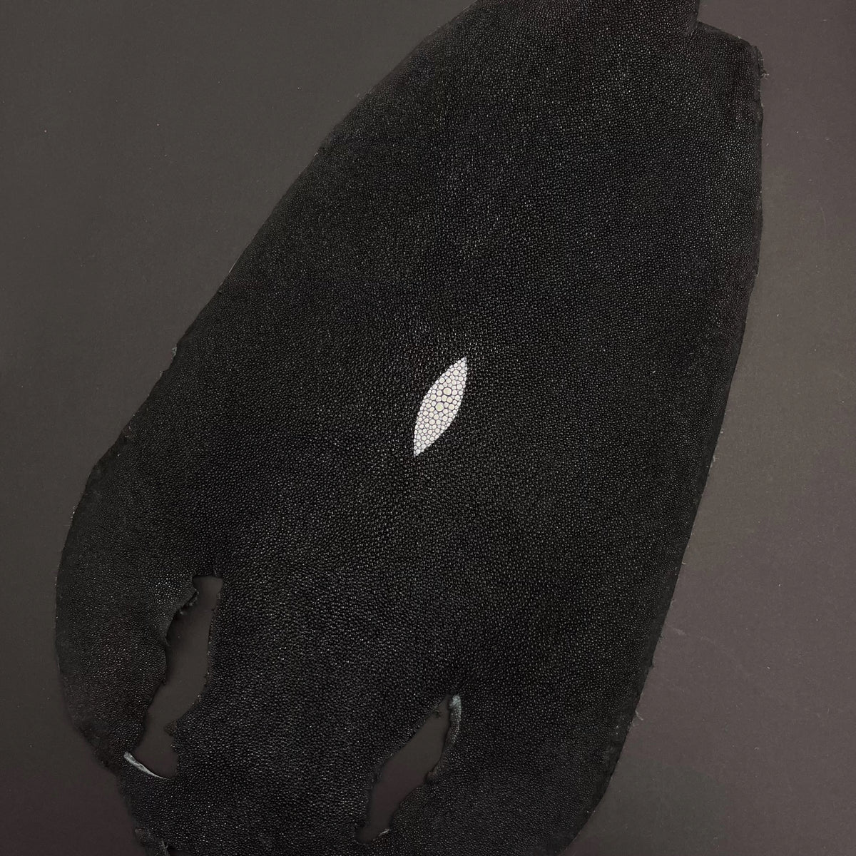 12" Black Stingray/Shagreen Skin