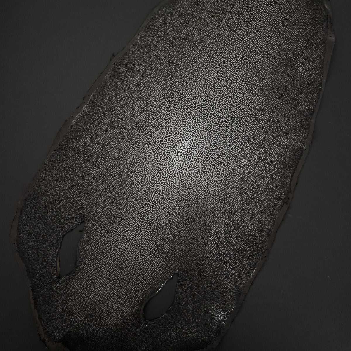 Sanded Stingray/Shagreen Genuine Skin | Dark Brown | 11" Wide