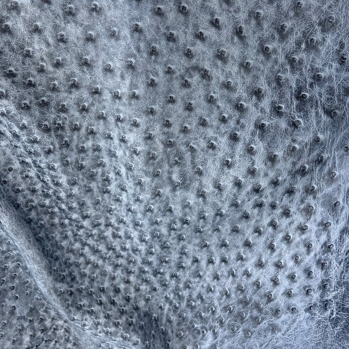 Ostrich Leather Hide | Denim Bruciato