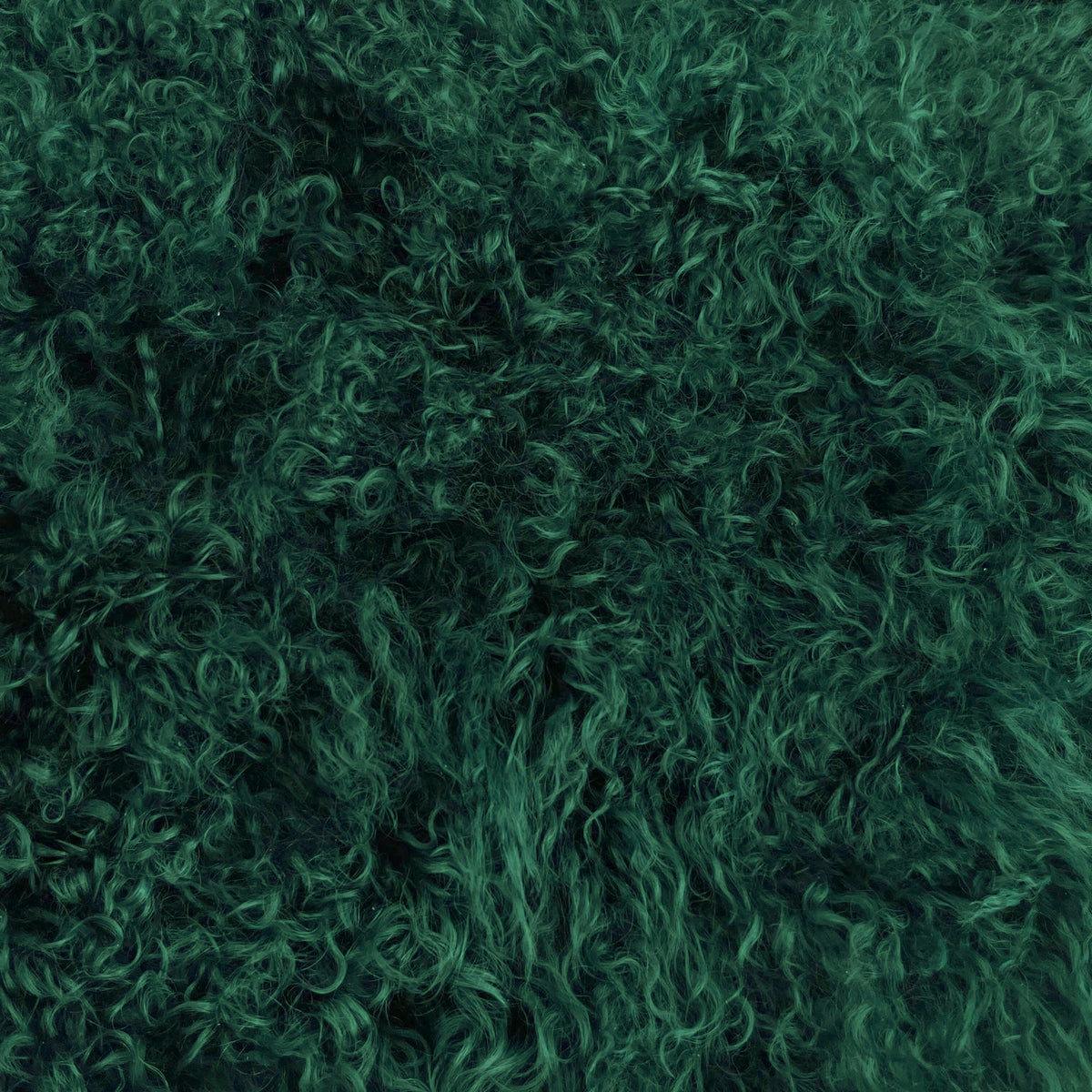 Mongolian Curly Lamb Plate | Ships in 4-5 Days