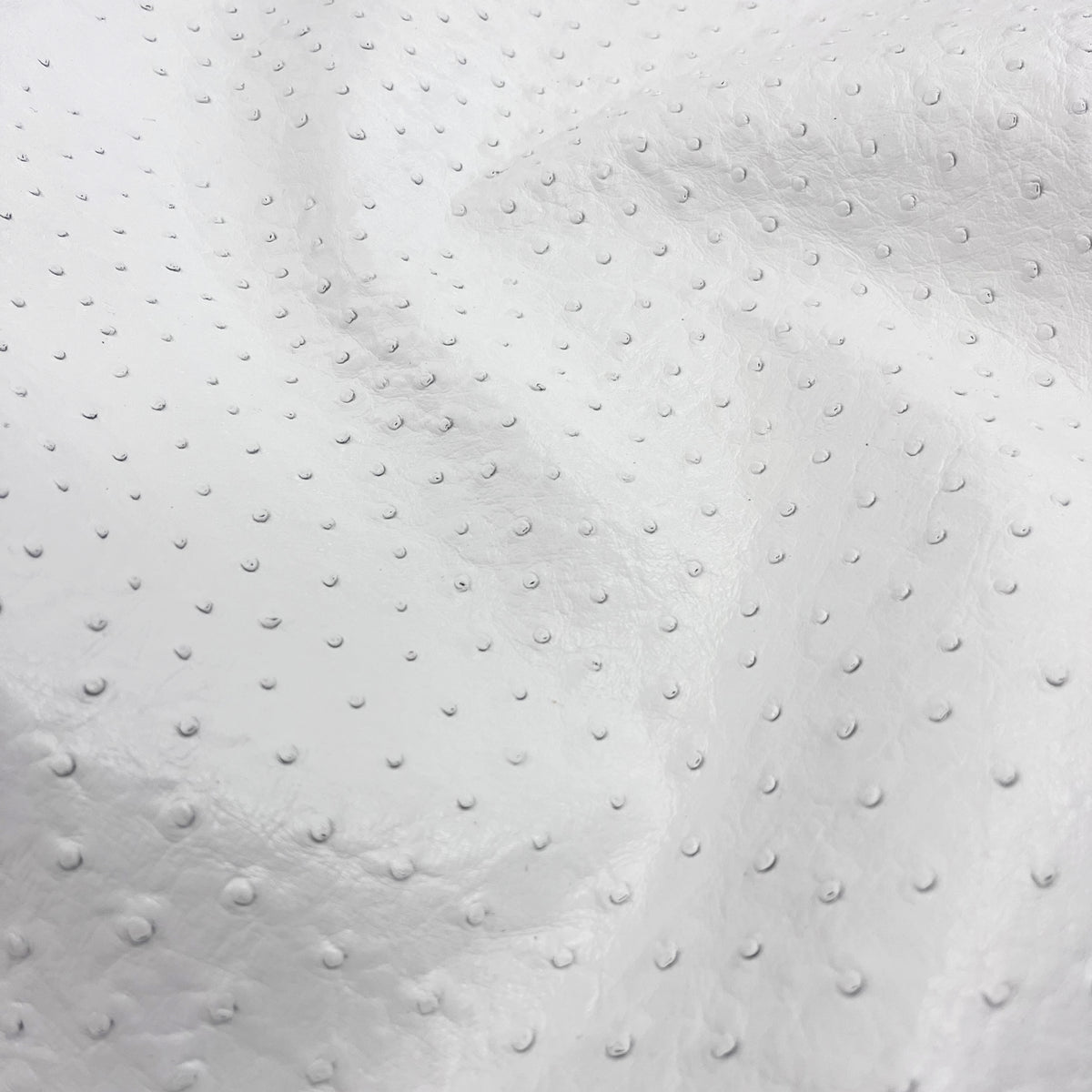 White Genuine Ostrich Leather Hide