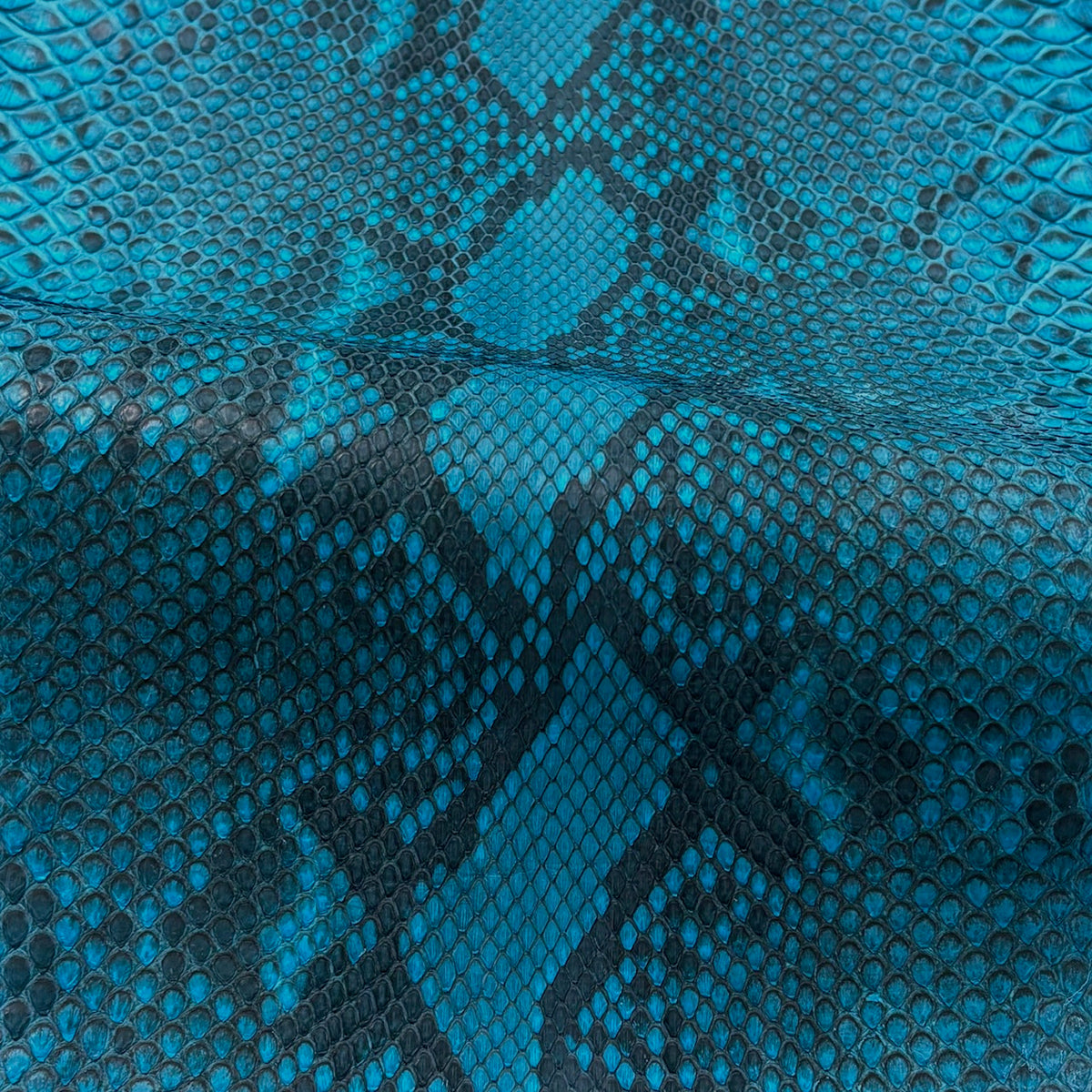 Python Matte | Turquoise | Front Cut Long Tail