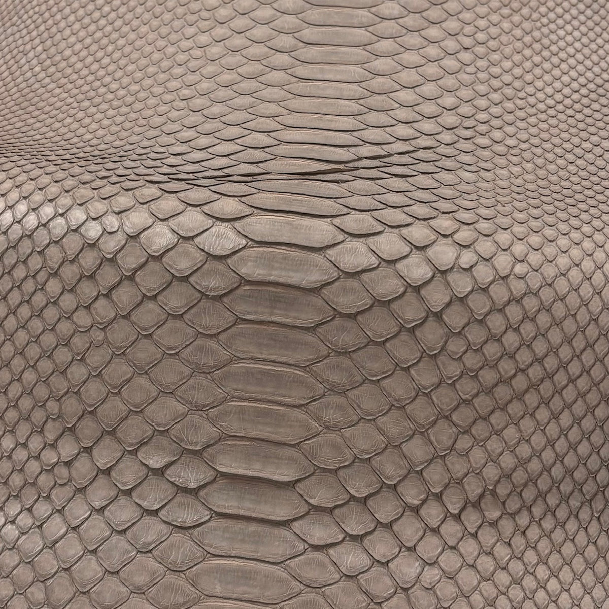 Python Matte | Warm Taupe | Long Tail Back Cut