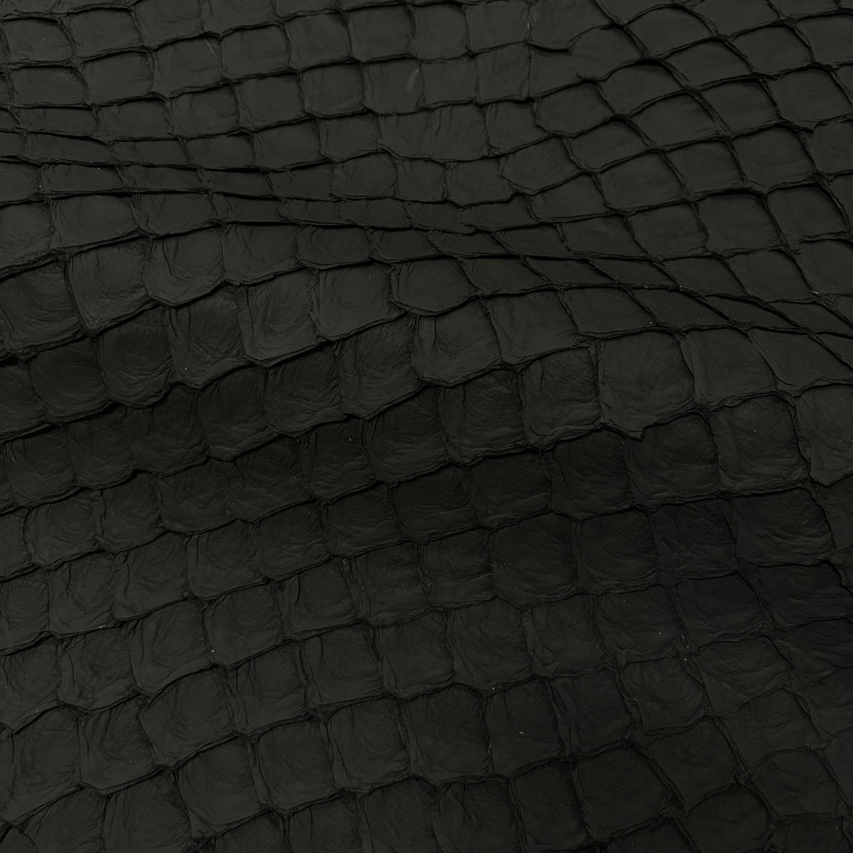 Matte Pirarucu Fish | Black