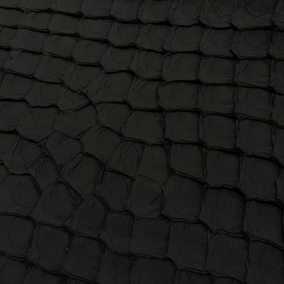 Matte Pirarucu Fish | Black