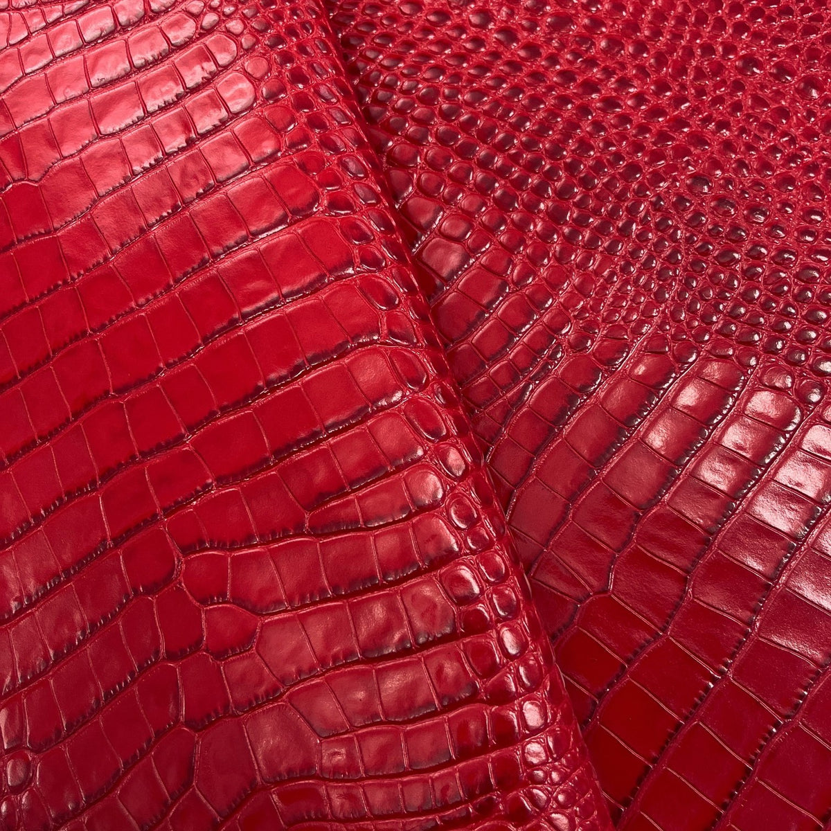 Italian Crocodile Embossed Cow Hide