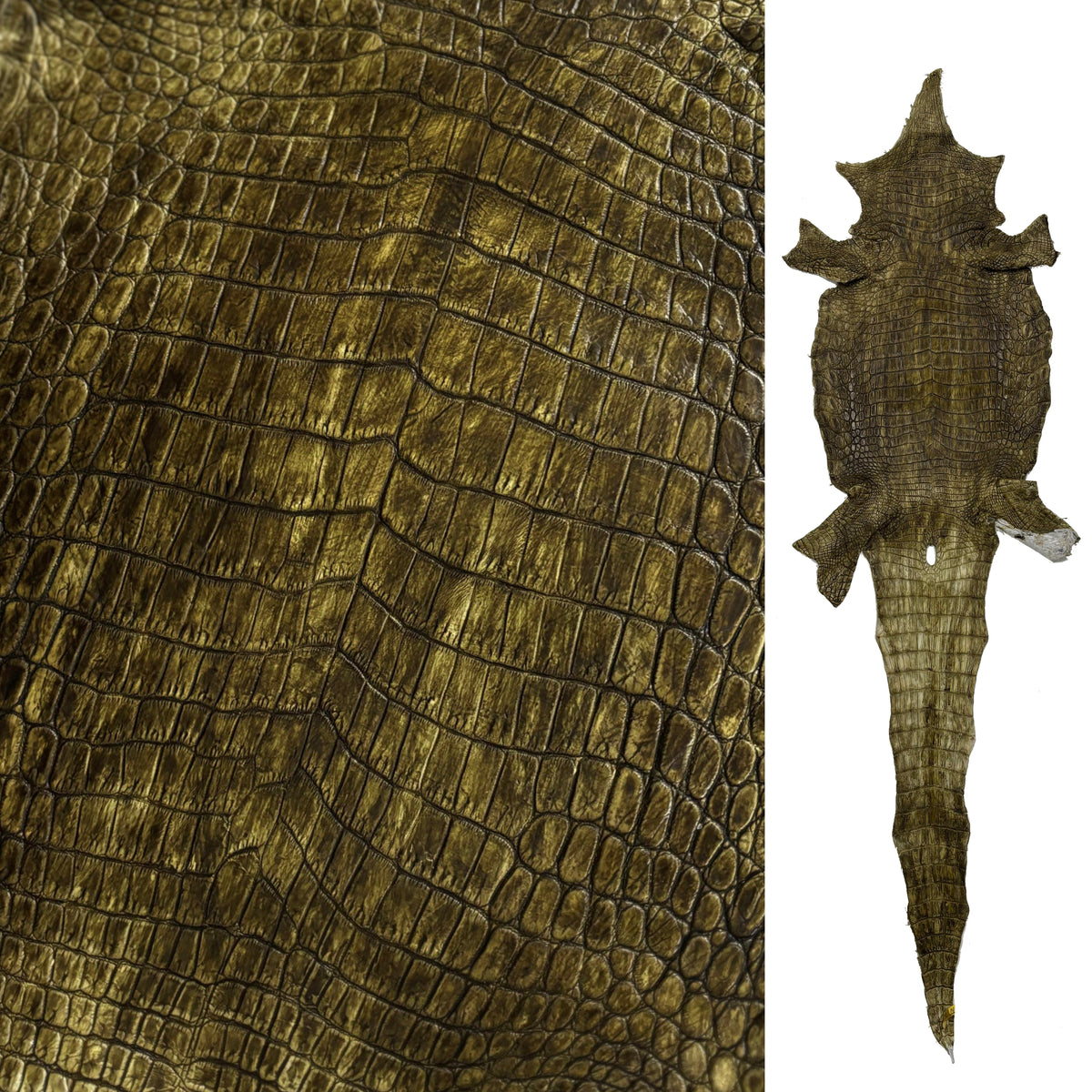 Hand-Painted Nile Crocodile #2 | 25 cm | Ships in 3-4 weeks