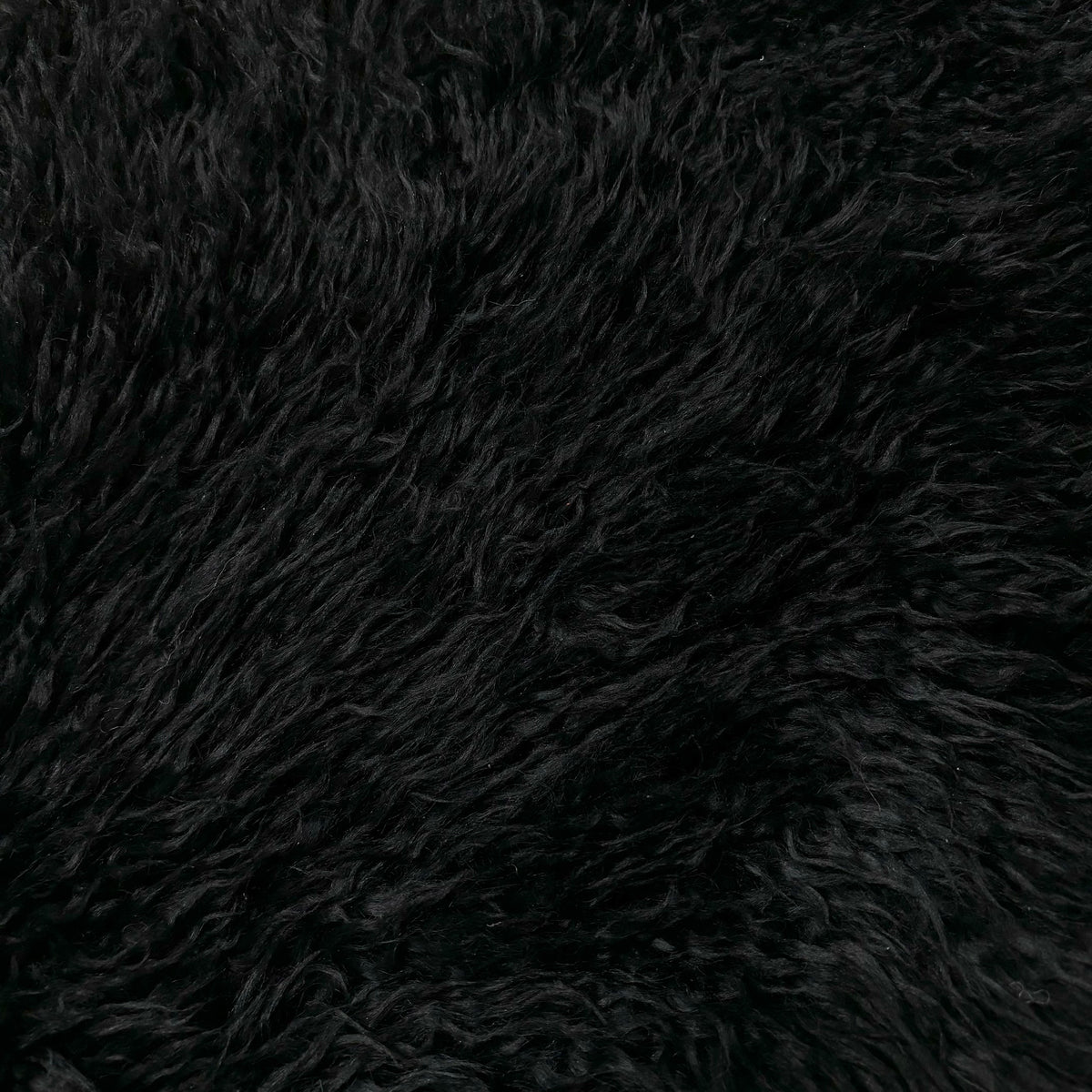 Skandilock Curly Longwool New Zealand