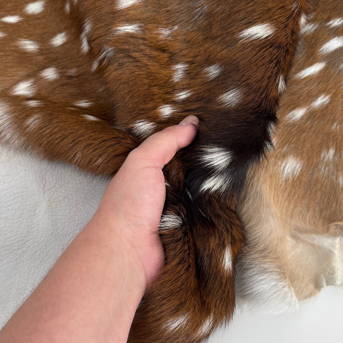 Axis Wild Deer Hide Extra Large