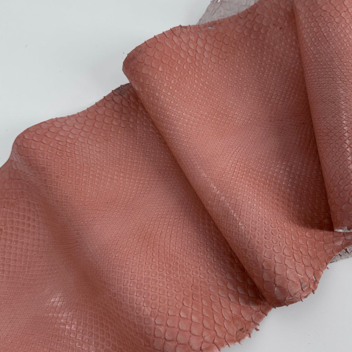 Glazed Peachy Salmon Python Back Cut | SALE