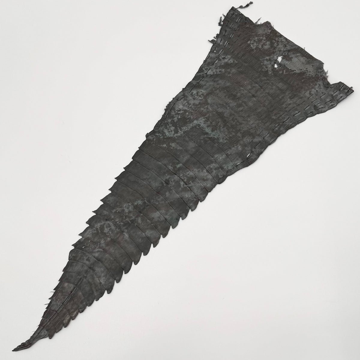 Fury Dusk Caiman Tail | SALE