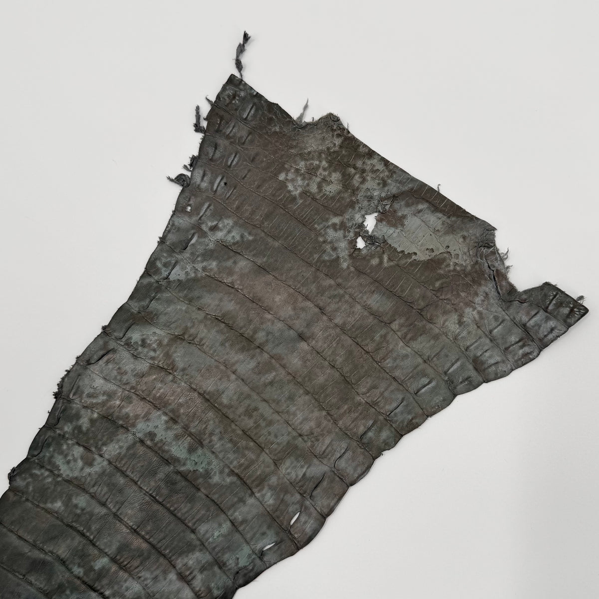 Fury Dusk Caiman Tail | SALE