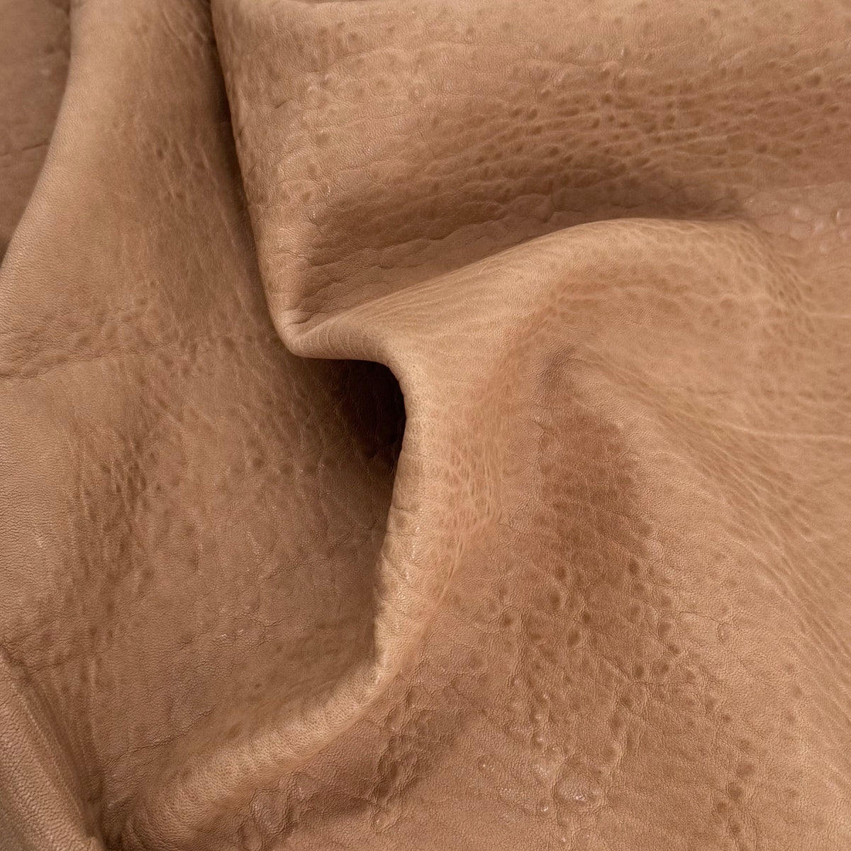 Austin Shrunken Bubble Lamb