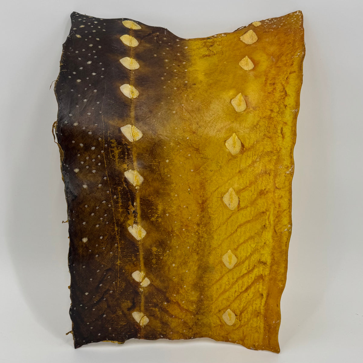 Transparent Sturgeon Plates | One-Of-A-Kind