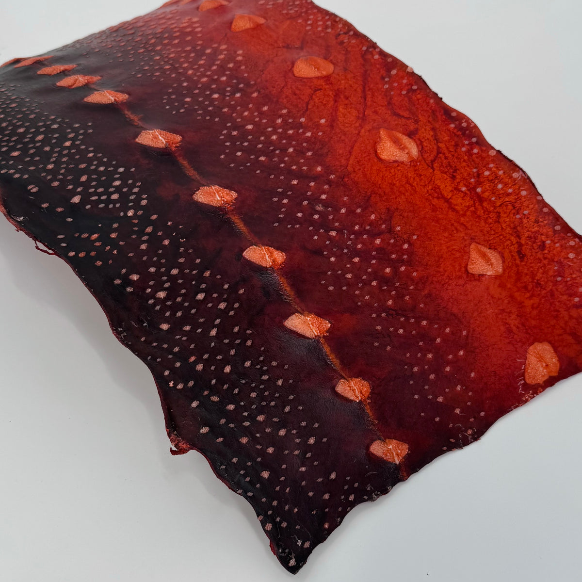 Transparent Sturgeon Plates | One-Of-A-Kind