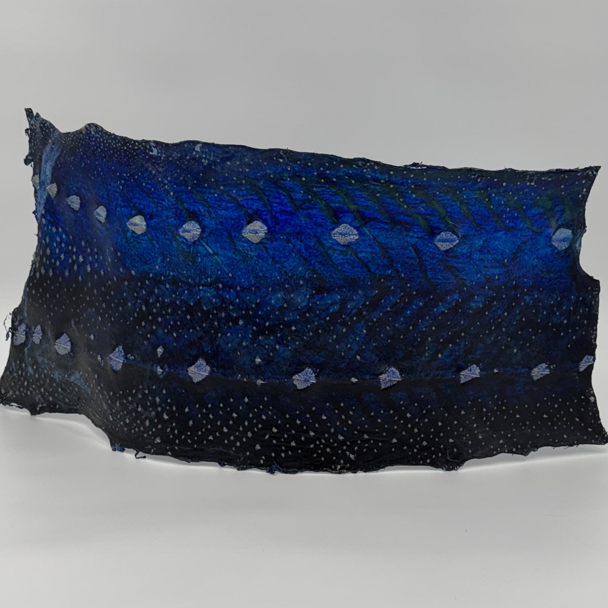 Transparent Sturgeon Plates | One-Of-A-Kind