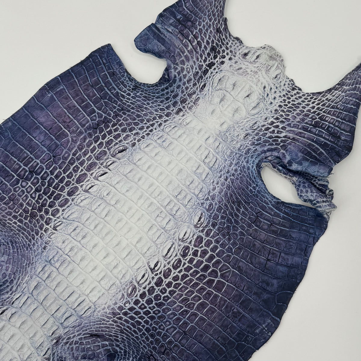 Hornback Crocodile Dyed in New York City | Only 1 available!