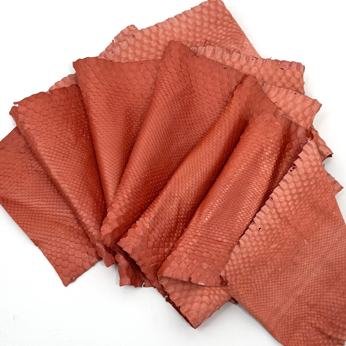 Pearlized Peach Python | Only 3 available | Sale