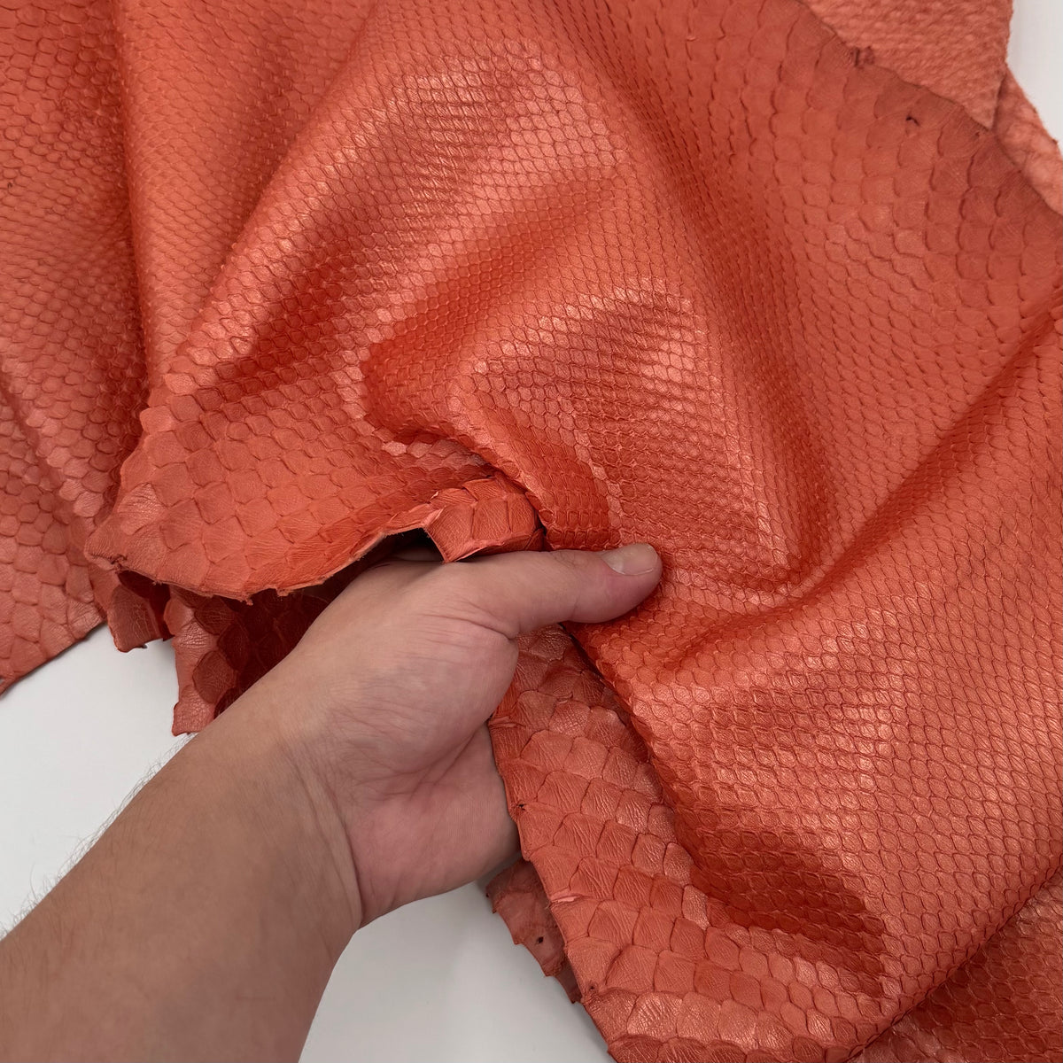 Pearlized Peach Python | Only 3 available | Sale