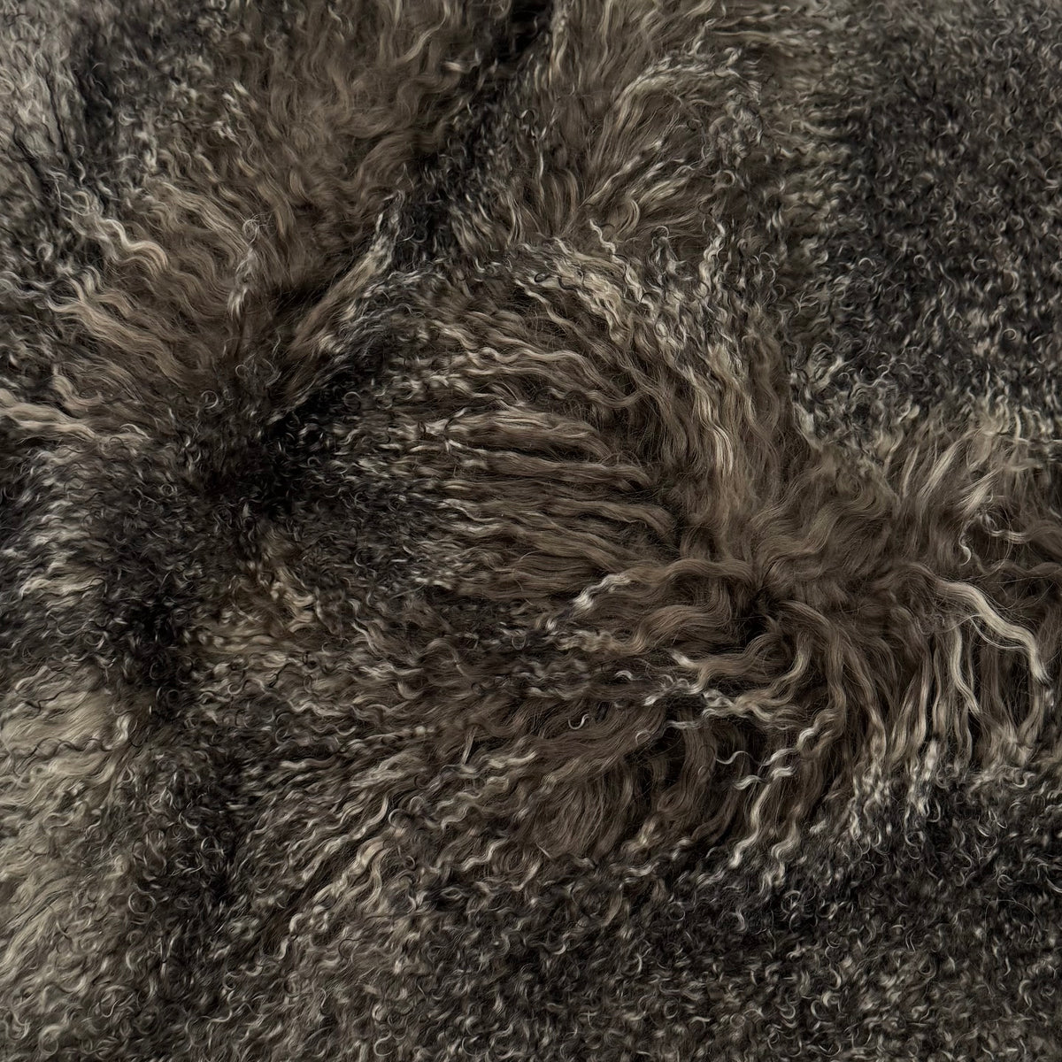 Mongolian Curly Lamb Plate in Midnight Jungle
