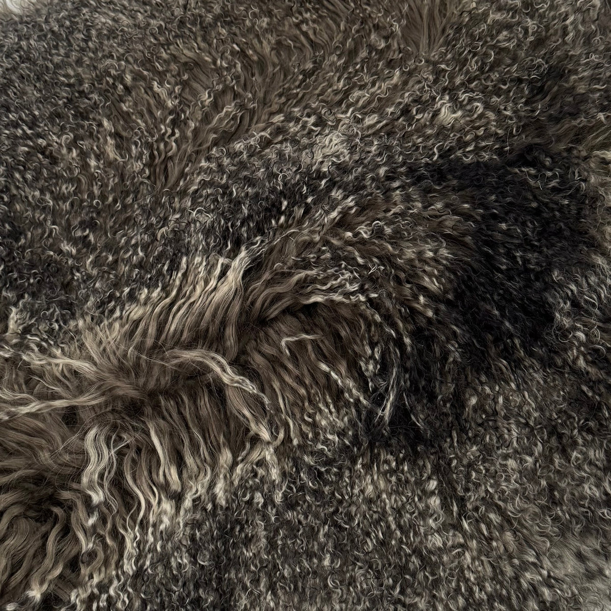 Mongolian Curly Lamb Plate in Midnight Jungle