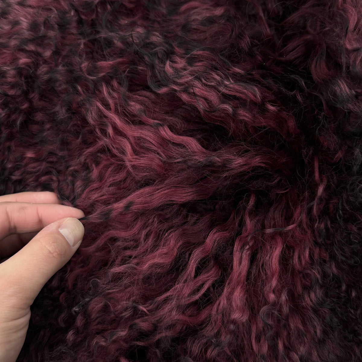 Mongolian Curly Lamb Plate in Raspberry Nights | Limited Stock