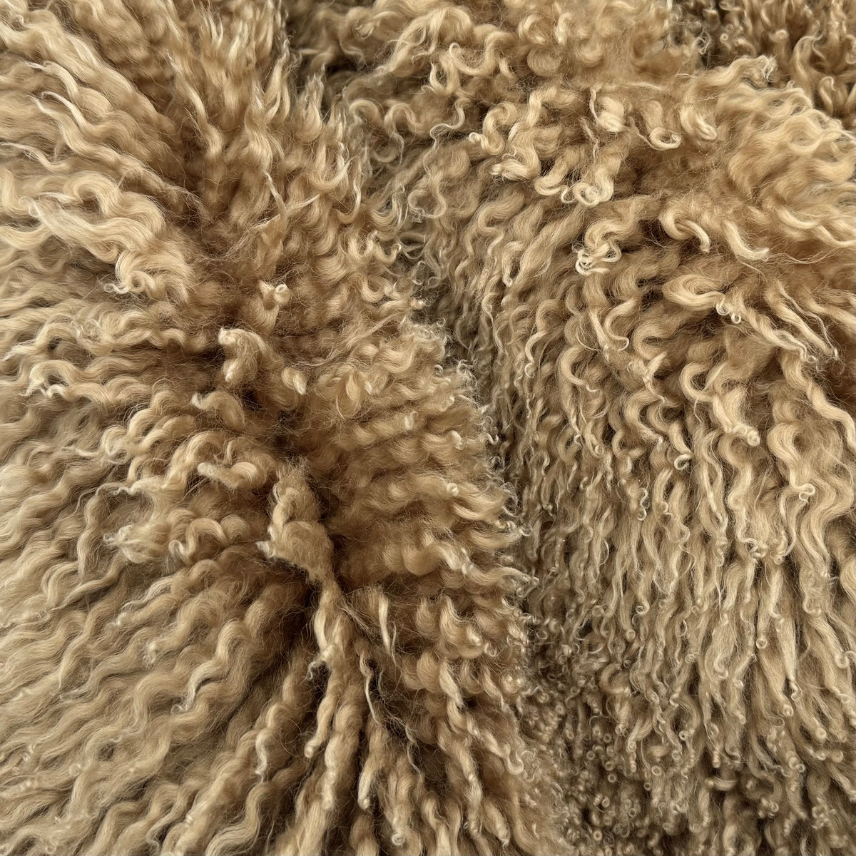 Skandilock Curly Longwool New Zealand