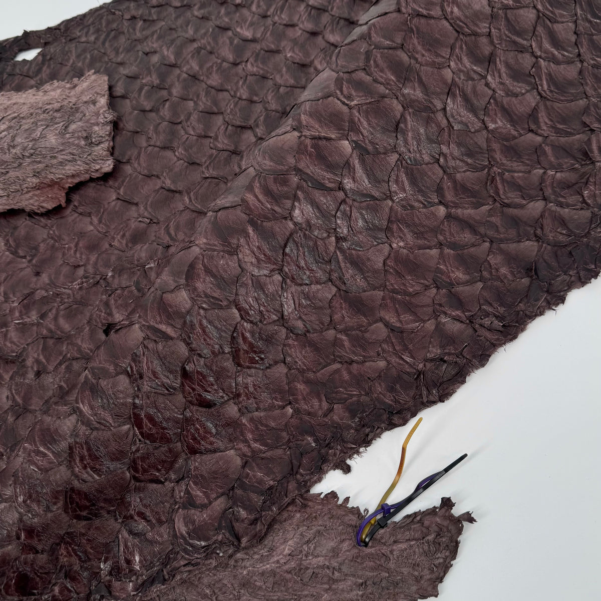 Bitter Plum Pirarucu Fish Leather