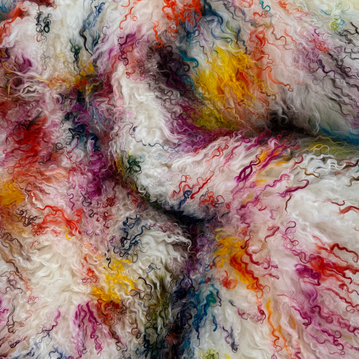 Rainbow Mongolian Curly Lamb Plate | Limited Stock