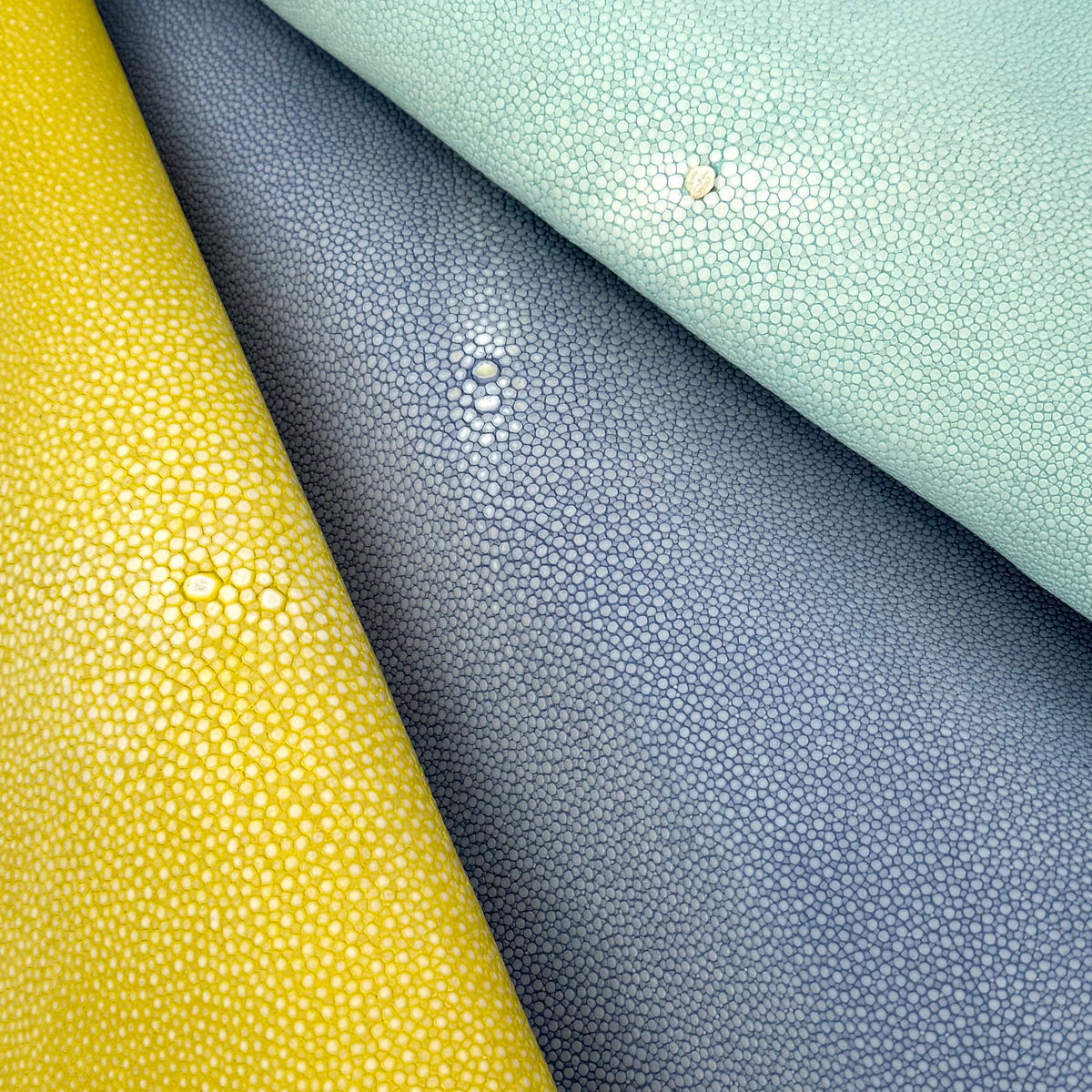 Pastel Sanded/Polished Stingray