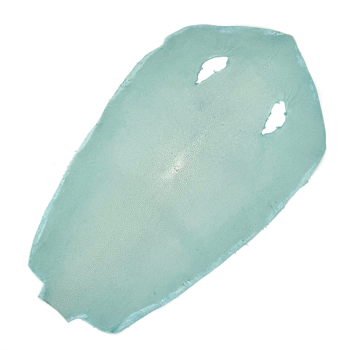 Pastel Sanded/Polished Stingray