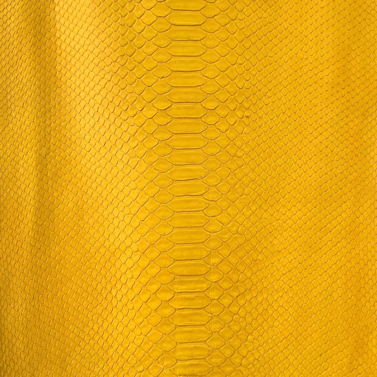 Python Sunglow Matte Back Cut