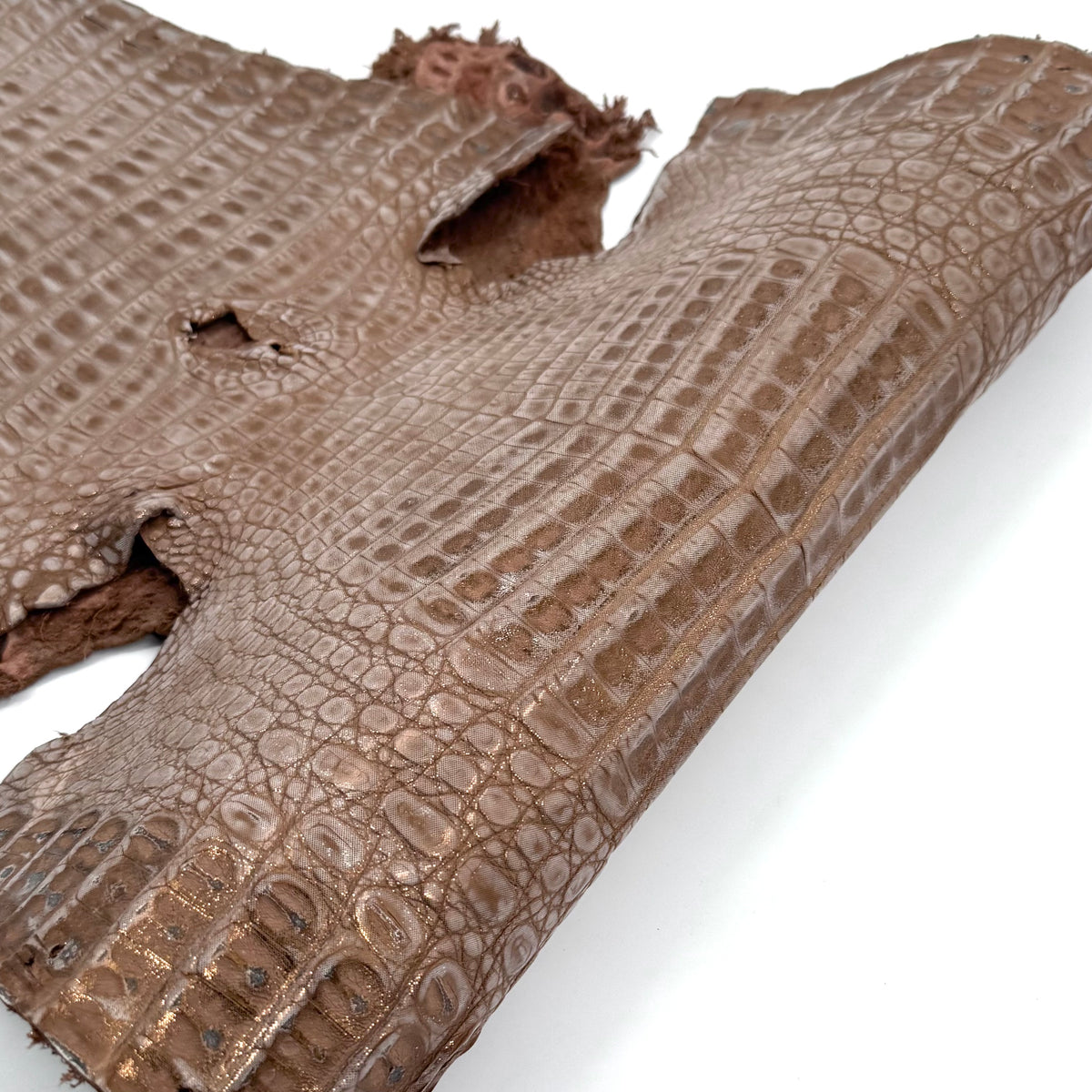 Sandy Dunes Metallic Caiman - Only 20 skins available | Sale