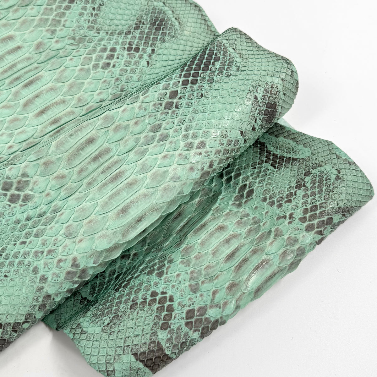 Mint Python Z4 - 1 Available | SALE
